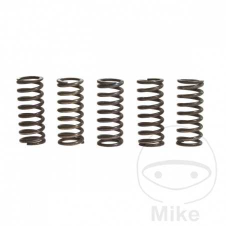 TRW Kit 5 reinforced clutch springs 738.88.46