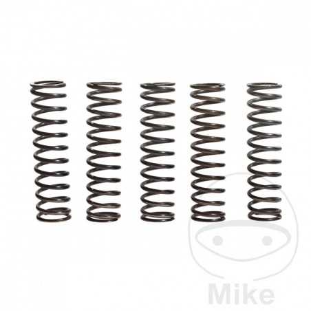 TRW Kit 5 reinforced clutch springs 738.92.32