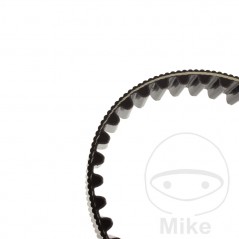 Timing belt OEM 755.03.33