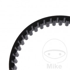 Timing belt OEM 755.04.54