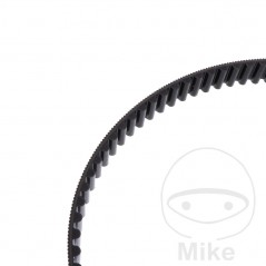 Timing belt OEM 755.04.75