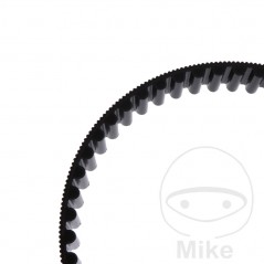 Timing belt OEM 755.04.79