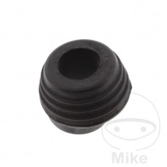 pushrod plug 734.71.75