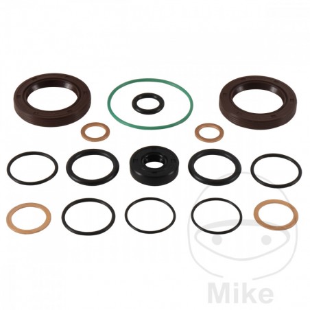 ALL BALLS Differential gasket set 773.16.69
