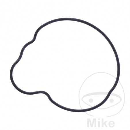 Water pump cover gasket OEM 734.74.76