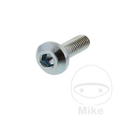 Tornillo para disco de freno OEM M8X1.25X25 MM 717.02.19