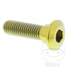 JMP Brake disc screw M8X1.25 MM 30 TITAN 717.07.68