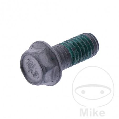 Brake disc screw OEM M6X14 MM 717.18.77