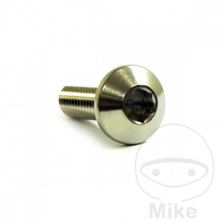 JMP Brake disc screw M8X1.25 MM 25 INOX V4A 775.80.63