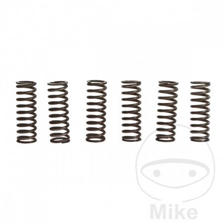 TRW Kit 6 reinforced clutch springs 738.71.60