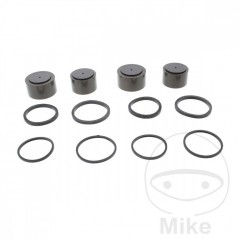 Kit reparación pinza de freno 717.18.33