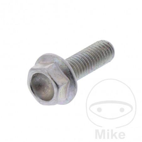 Sprocket fixing screw OEM 726.08.11