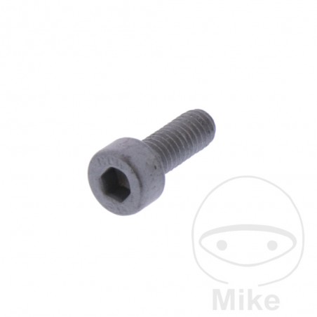 Tornillo fijación de piñón OEM 726.08.22