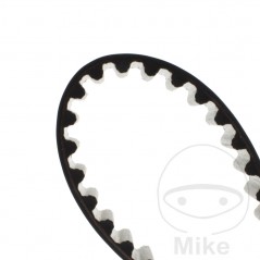 DAYCO standard drive belt 70 X 18 755.00.00