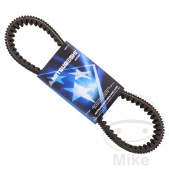 MITSUBOSHI BELT, TRANSMISSION 30.7 X 876 755.02.90