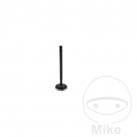 JMP Válvula de admisión 747.13.17