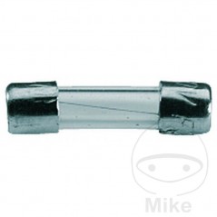 glass fuse for car radio 10A BTL6 5X20 ALTN: 1490465 149.13.98