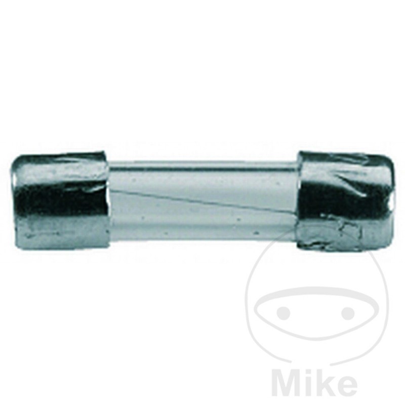 glass fuse for car radio 10A BTL6 5X20 ALTN: 1490465 149.13.98