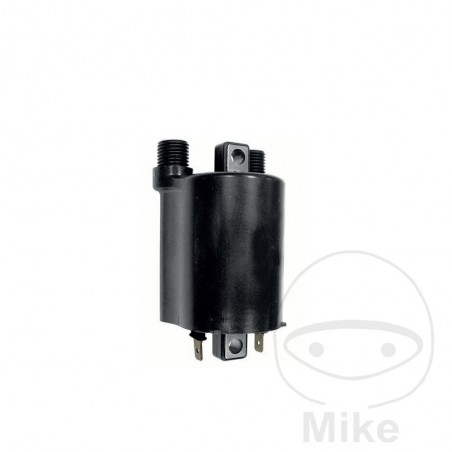 IGNITION COIL 12V ALTN: 7000709/7003083 700.08.99