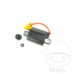 BOBINA DE ENCENDIDO 12V OEM 700.15.66