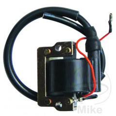 IGNITION COIL 6V ALTN: 7007016 700.16.37