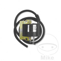 BOBINA DE ENCENDIDO 12V 700.24.21