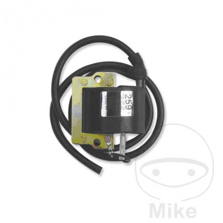 IGNITION COIL 12V 700.24.21