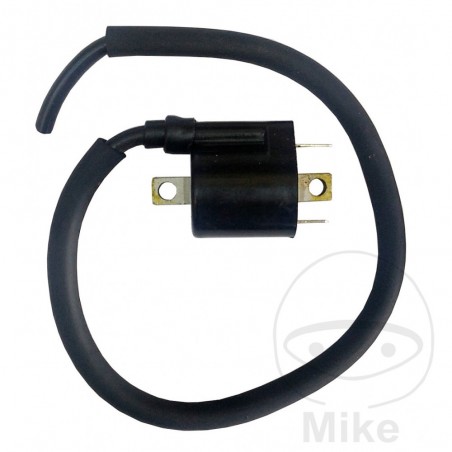 IGNITION COIL 12V 700.27.75