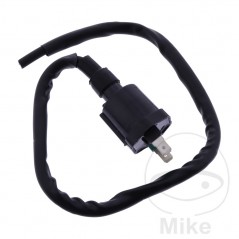 JMP BOBINA DE ENCENDIDO 12V ALTN: 7000543 700.30.80