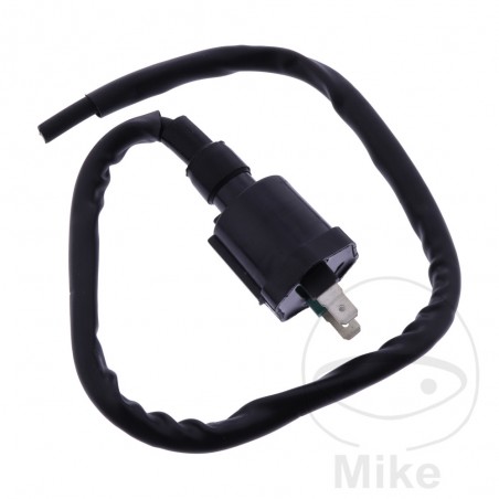 JMP IGNITION COIL 12V ALTN: 7000543 700.30.80