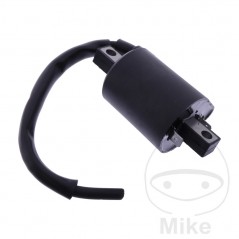 JMP BOBINA DE ENCENDIDO 12V ALTN: 7000006 700.30.91