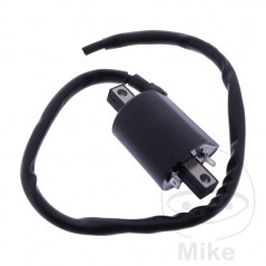 JMP IGNITION COIL ALTN: 7001652 700.31.04