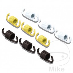 MALOSSI Clutch springs kit 745.03.04