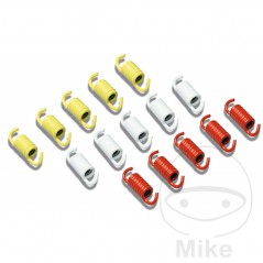 MALOSSI Clutch springs kit 745.03.18