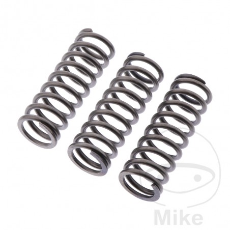 EBC Juego 3 muelles de embrague reforzados 745.08.21