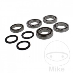 ALL BALLS Complete front differential bearing repair kit 773.05.11