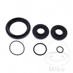 ALL BALLS Front differential bearing repair kit 773.19.61