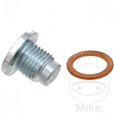 ELRING Screw cap with gasket 355.14.81