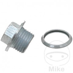 ELRING Screw cap with gasket 355.14.82