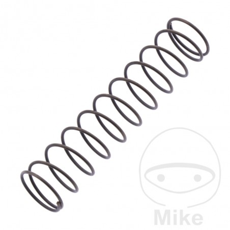DELLORTO Carburetor spring 724.55.90