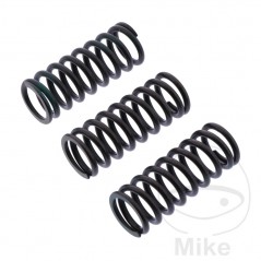 TRW Set of 3 reinforced clutch springs 738.06.12
