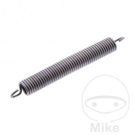 Muelle para cadena de distribución OEM 741.13.24