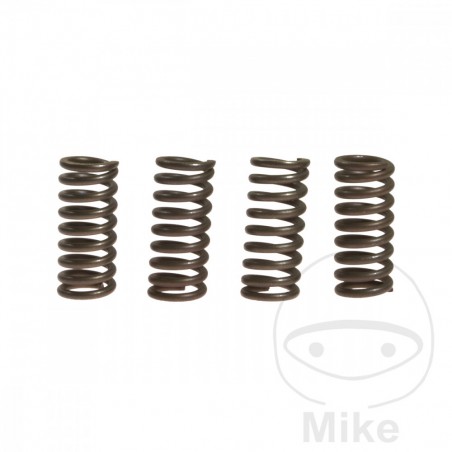 EBC Set of reinforced clutch springs ALTN: 7387244 745.94.80