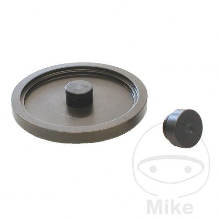 Placa de inserción K65-300 617.01.07