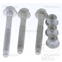TRISCAN Fork fixing screws 382.58.76