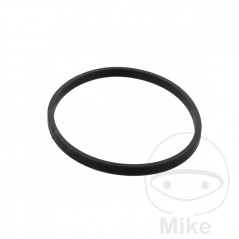 JMP Gasket for manual vacuum pump 3.5 X 52 MM 722.03.02