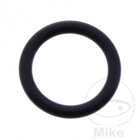 Gasoline tap gasket 14 X 19 2 MM OEM 724.35.23