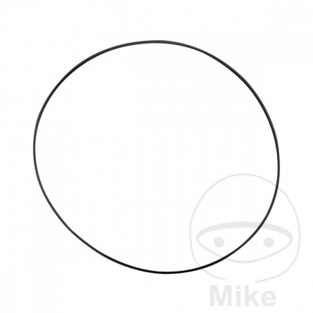 ATHENA water pump gasket 2 X 69 MM 734.09.73