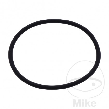 ATHENA O-RING SEAL 3 X 57 MM 734.19.44