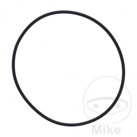 ATHENA water pump gasket 2.5 X 86 MM 734.20.73